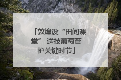 敦煌设“田间课堂” 送技葡萄管护关键时节