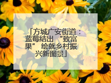 方城广安街道：蓝莓结出 “致富果” 绘就乡村振兴新图景