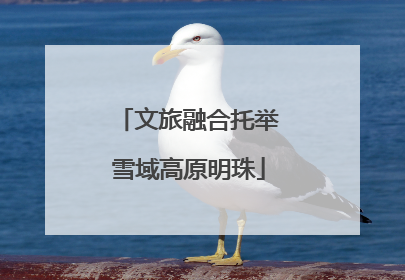 文旅融合托举雪域高原明珠