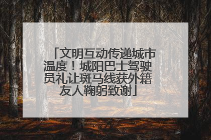 文明互动传递城市温度！城阳巴士驾驶员礼让斑马线获外籍友人鞠躬致谢