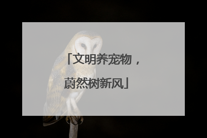 文明养宠物,蔚然树新风