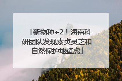 新物种+2！海南科研团队发现素贞灵芝和自然保护地壁虎