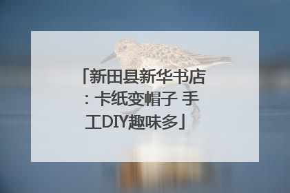 新田县新华书店：卡纸变帽子 手工DIY趣味多