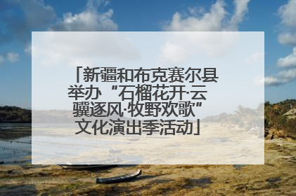 新疆和布克赛尔县举办“石榴花开·云骥逐风·牧野欢歌”文化演出季活动
