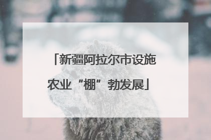 新疆阿拉尔市设施农业“棚”勃发展