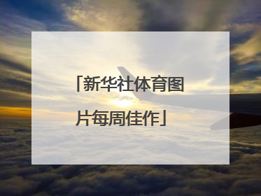 新华社体育图片每周佳作
