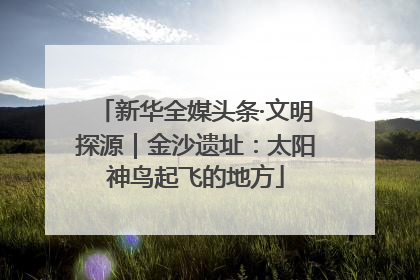 新华全媒头条·文明探源｜金沙遗址：太阳神鸟起飞的地方