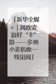 新华全媒+｜风吹麦浪好“丰”景——多地小麦机收一线见闻