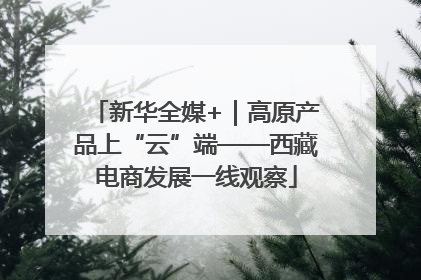 新华全媒+｜高原产品上“云”端——西藏电商发展一线观察