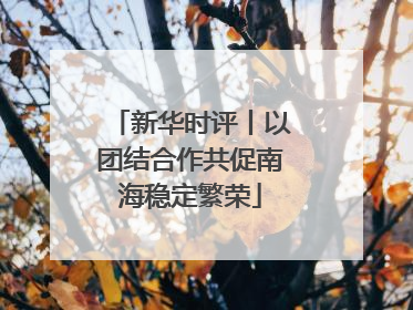新华时评丨以团结合作共促南海稳定繁荣