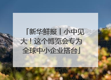 新华鲜报丨小中见大！这个博览会专为全球中小企业搭台