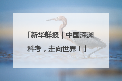 新华鲜报｜中国深渊科考，走向世界！