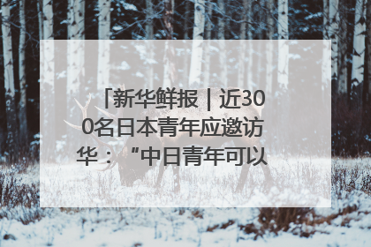 新华鲜报｜近300名日本青年应邀访华：“中日青年可以创造更好的未来”