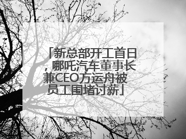 新总部开工首日，哪吒汽车董事长兼CEO方运舟被员工围堵讨薪