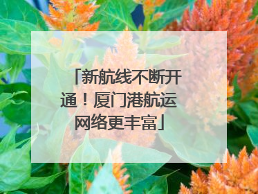 新航线不断开通！厦门港航运网络更丰富