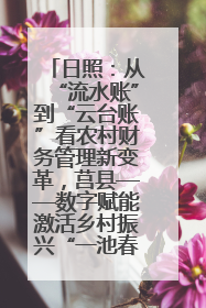 日照：从“流水账”到“云台账”看农村财务管理新变革，莒县——数字赋能激活乡村振兴“一池春水”