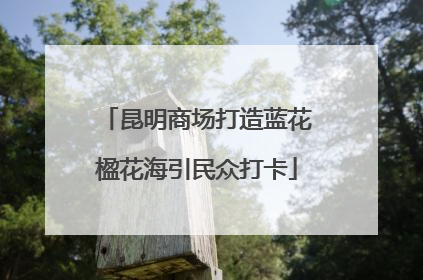 昆明商场打造蓝花楹花海引民众打卡