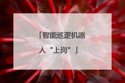 智能巡逻机器人“上岗”