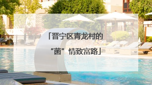 晋宁区青龙村的“菌”情致富路