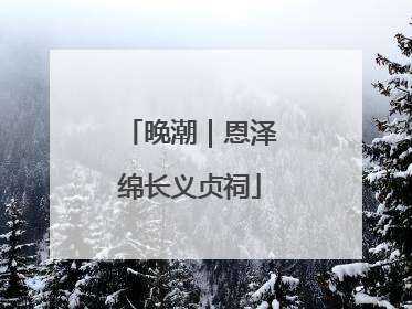 晚潮｜恩泽绵长义贞祠