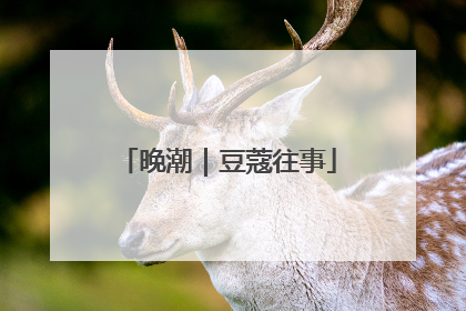 晚潮｜豆蔻往事