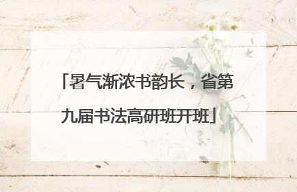 暑气渐浓书韵长，省第九届书法高研班开班