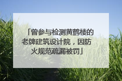 曾参与检测黄鹤楼的老牌建筑设计院，因防火规范疏漏被罚