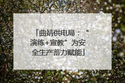 曲靖供电局：“演练+宣教”为安全生产蓄力赋能