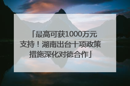 最高可获1000万元支持！湖南出台十项政策措施深化对德合作