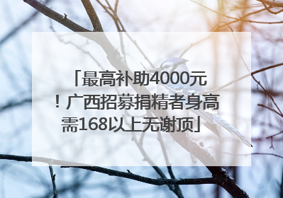 最高补助4000元！广西招募捐精者身高需168以上无谢顶