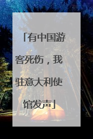 有中国游客死伤，我驻意大利使馆发声