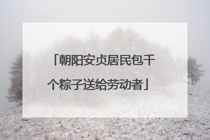 朝阳安贞居民包千个粽子送给劳动者