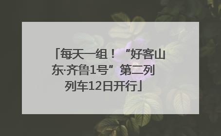 每天一组！“好客山东·齐鲁1号”第二列列车12日开行
