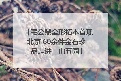 毛公鼎全形拓本首现北京 60余件金石珍品走进三山五园