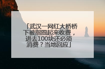 武汉一网红大桥桥下被指圈起来收费，进去100块还必须消费？当地回应