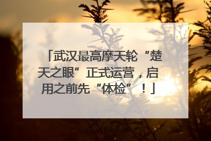 武汉最高摩天轮“楚天之眼”正式运营，启用之前先“体检”！