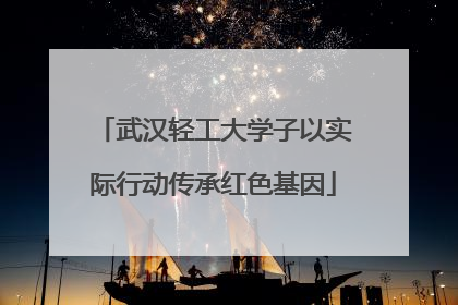 武汉轻工大学子以实际行动传承红色基因