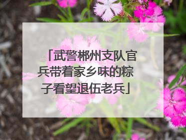 武警郴州支队官兵带着家乡味的粽子看望退伍老兵