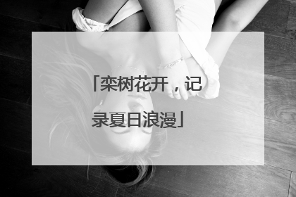 栾树花开，记录夏日浪漫