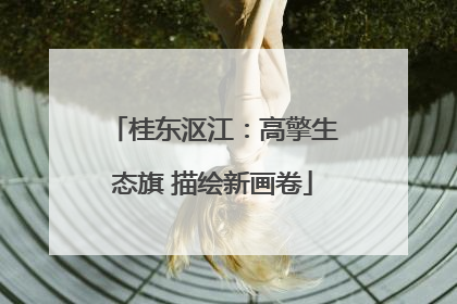 桂东沤江：高擎生态旗 描绘新画卷