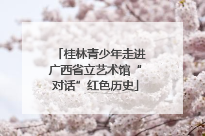 桂林青少年走进广西省立艺术馆“对话”红色历史
