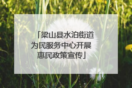 梁山县水泊街道为民服务中心开展惠民政策宣传