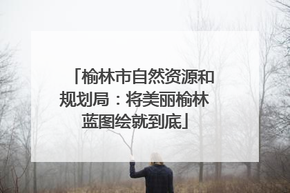 榆林市自然资源和规划局：将美丽榆林蓝图绘就到底