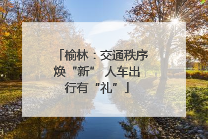 榆林：交通秩序焕“新” 人车出行有“礼”