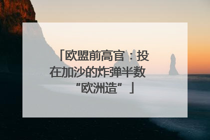 欧盟前高官：投在加沙的炸弹半数“欧洲造”