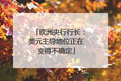 欧洲央行行长：美元主导地位正在变得不确定