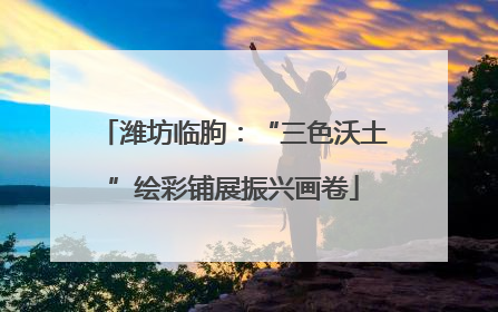 潍坊临朐：“三色沃土”绘彩铺展振兴画卷