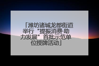 潍坊诸城龙都街道举行“提振消费·助力发展”首批示范单位授牌活动