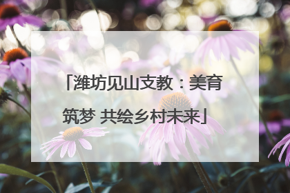 潍坊见山支教：美育筑梦 共绘乡村未来