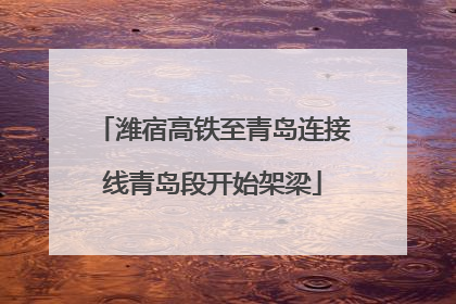 潍宿高铁至青岛连接线青岛段开始架梁